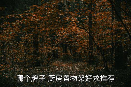 廚房儲(chǔ)物架哪里有賣的,廚房的儲(chǔ)物架哪里可以購買