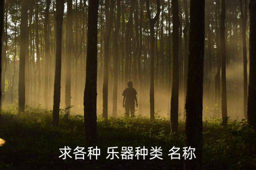 小學(xué)音樂課樂器種類名稱圖片大全