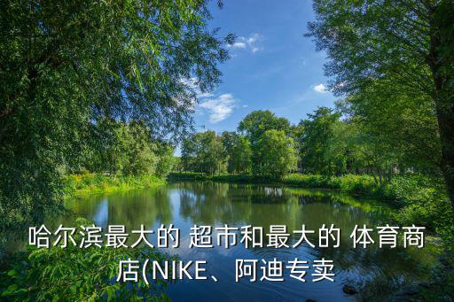 買(mǎi)體育用品的超市有哪些,北京大型體育用品超市