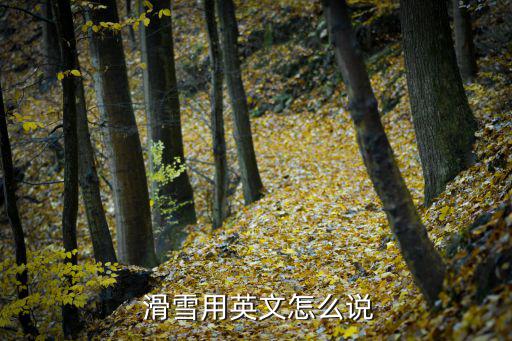 滑雪英語(yǔ)簡(jiǎn)單小短文,滑雪過(guò)程英語(yǔ)簡(jiǎn)單小短文
