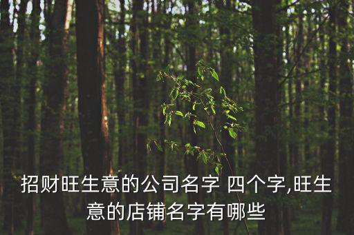 體育用品店名稱大全四個(gè)字,西單體育用品店名稱