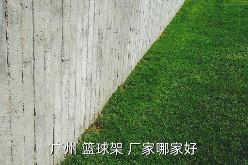 廣州 籃球架 廠家哪家好