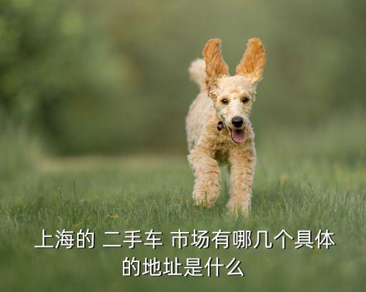  上海的 二手車 市場(chǎng)有哪幾個(gè)具體的地址是什么
