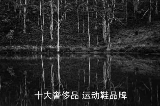 十大名牌鞋子排名榜運動鞋,好的運動鞋子品牌有哪些
