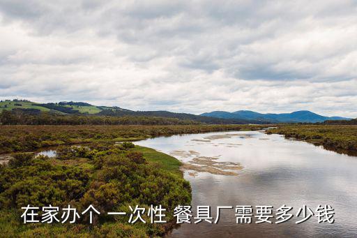 在家辦個(gè) 一次性 餐具廠需要多少錢