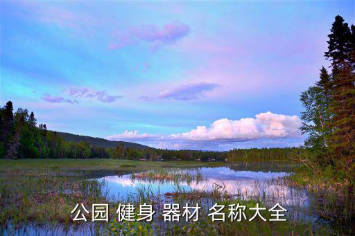 公園健身器材名稱大全團,公園健身器材分類介紹一下!
