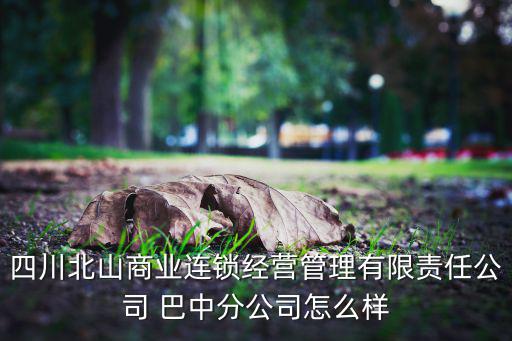 四川北山商業(yè)連鎖經(jīng)營管理有限責任公司 巴中分公司怎么樣