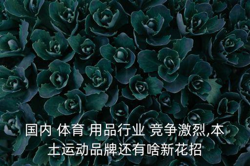 體育用品店競爭分析表,體育用品零售店的經(jīng)營風險