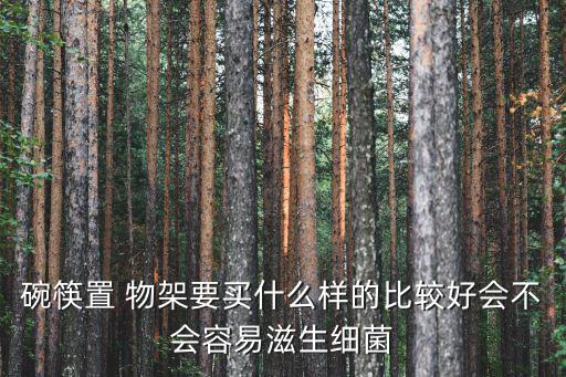 碗筷置 物架要買什么樣的比較好會不會容易滋生細菌