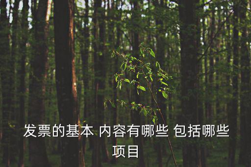 發(fā)票體育用品都包括什么內(nèi)容,營業(yè)執(zhí)照體育用品包括什么