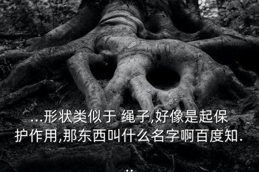 ...形狀類似于 繩子,好像是起保護作用,那東西叫什么名字啊百度知...