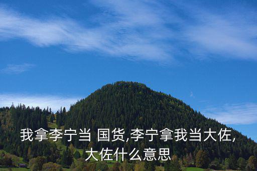 我拿李寧當(dāng) 國(guó)貨,李寧拿我當(dāng)大佐,大佐什么意思