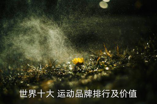 世界十大 運動品牌排行及價值