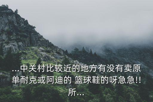 ...中關(guān)村比較近的地方有沒有賣原單耐克或阿迪的 籃球鞋的呀急急!!所...