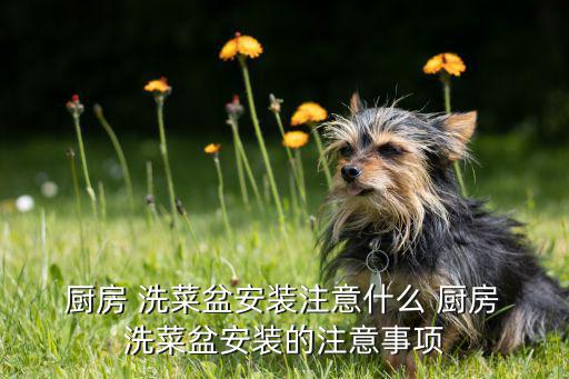 廚房洗菜盆架子,廚房洗菜如何在臺(tái)面下安裝呢?
