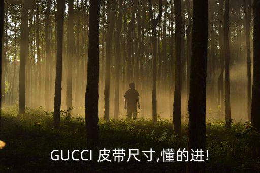 GUCCI 皮帶尺寸,懂的進(jìn)!