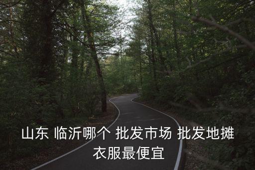 山東 臨沂哪個 批發(fā)市場 批發(fā)地攤 衣服最便宜