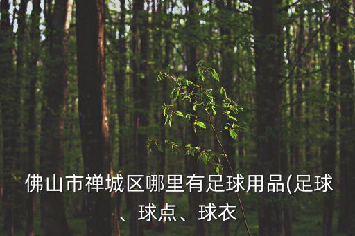 佛山專(zhuān)門(mén)賣(mài)運(yùn)動(dòng)品牌的商場(chǎng)