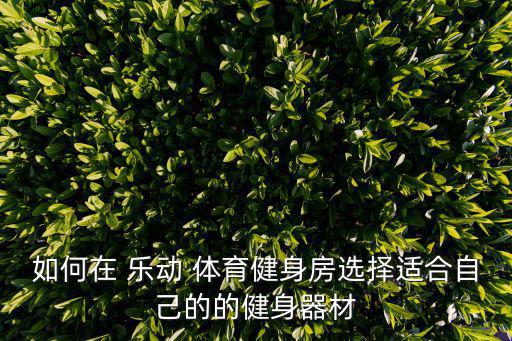 如何在 樂動 體育健身房選擇適合自己的的健身器材