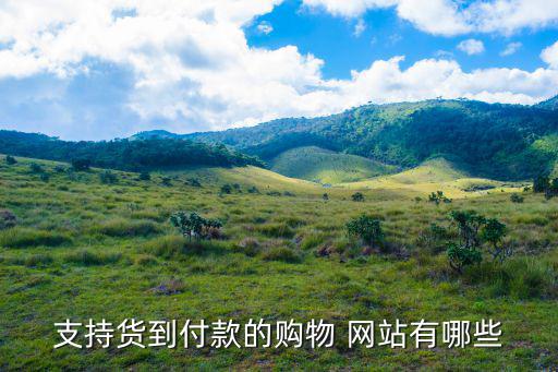 支持貨到付款的購物 網(wǎng)站有哪些