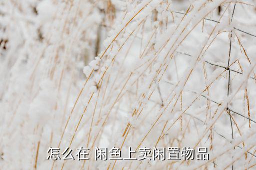 怎么在 閑魚(yú)上賣閑置物品