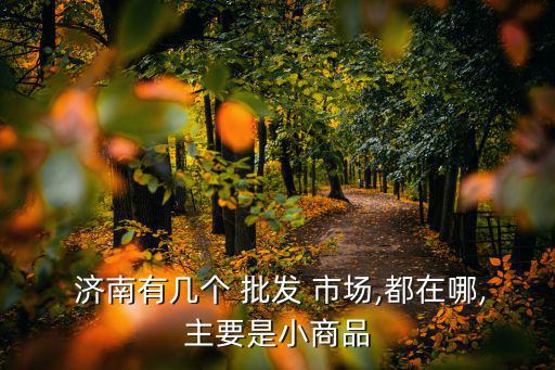 濟(jì)南藥品批發(fā)市場(chǎng)在哪里,重慶最大藥品批發(fā)市場(chǎng)在哪里