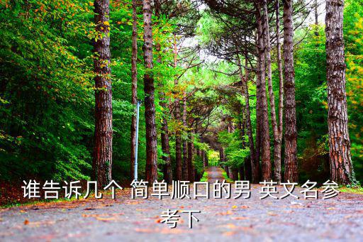 男生英文名字簡單大氣,男生簡單氣質(zhì)英文名字:太陽