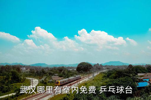  武漢哪里有室內免費 乒乓球臺