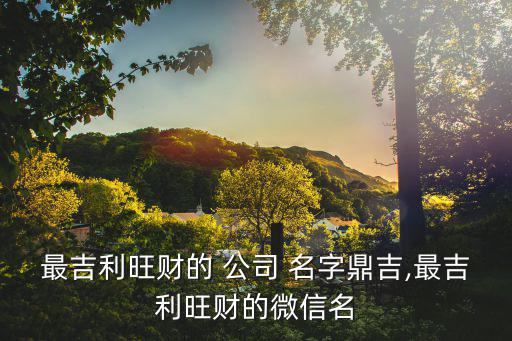 招財(cái)旺生意的公司名字泰