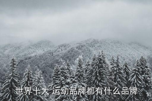 世界運動衣服品牌排行榜前十名,運動品牌排行榜衣服品牌大全