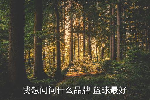 國(guó)產(chǎn)籃球哪個(gè)最好,籃球服哪個(gè)號(hào)碼最好看