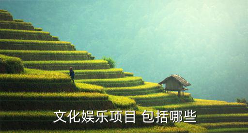  文化娛樂項(xiàng)目 包括哪些