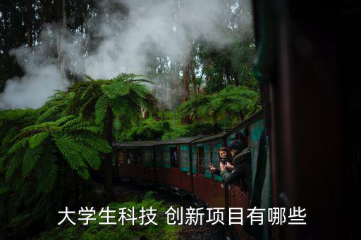  大學(xué)生科技 創(chuàng)新項目有哪些
