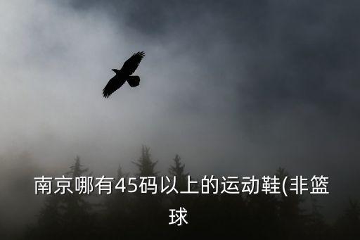  南京哪有45碼以上的運動鞋(非籃球