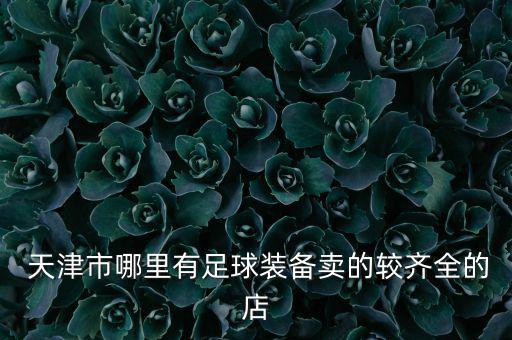 天津哪里有體育用品賣,天津賣體育用品的集中地