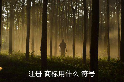 注冊(cè)商標(biāo)符號(hào),點(diǎn)擊插入-符號(hào)-其他符號(hào)即可查看詳情