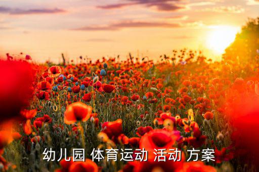 體育活動(dòng)方案,小學(xué)陽(yáng)光體育活動(dòng)方案