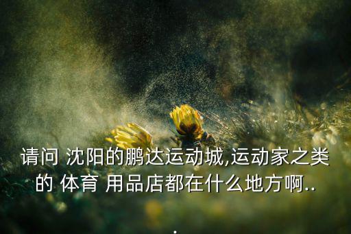 請問 沈陽的鵬達運動城,運動家之類的 體育 用品店都在什么地方啊...