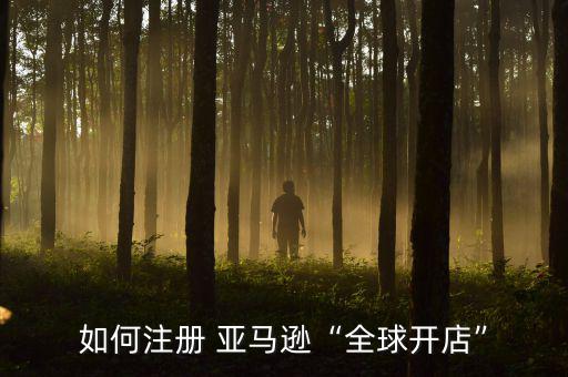 如何注冊(cè) 亞馬遜“全球開(kāi)店”