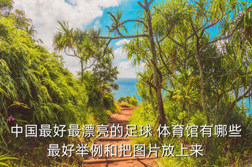 中國(guó)最好最漂亮的足球 體育館有哪些最好舉例和把圖片放上來
