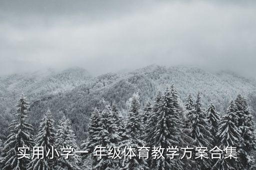 實用小學(xué)一 年級體育教學(xué)方案合集