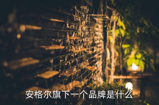 安格爾旗下一個(gè)品牌是什么