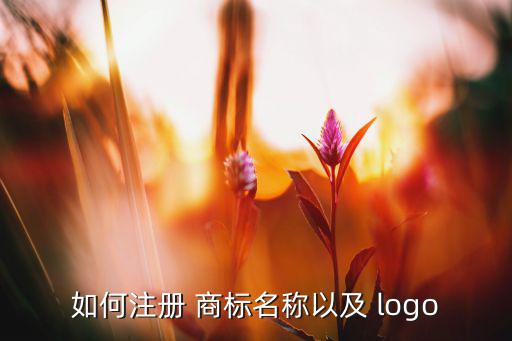 如何注冊 商標名稱以及 logo