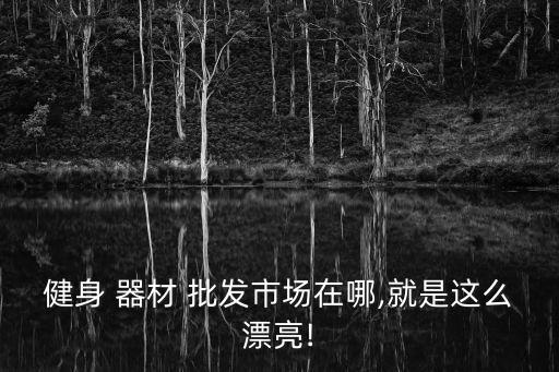 健身 器材 批發(fā)市場在哪,就是這么漂亮!