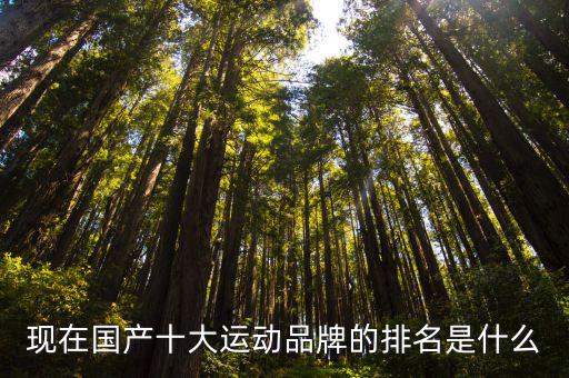 現(xiàn)在國產(chǎn)十大運動品牌的排名是什么