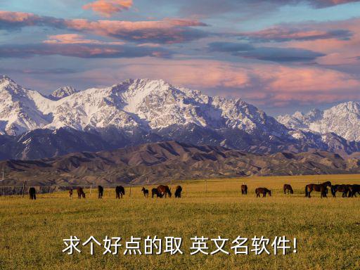 一鍵生成英文名,免費輸中文名取英文名