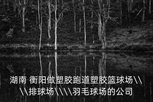 湖南 衡陽做塑膠跑道塑膠籃球場\\\\排球場\\\\羽毛球場的公司