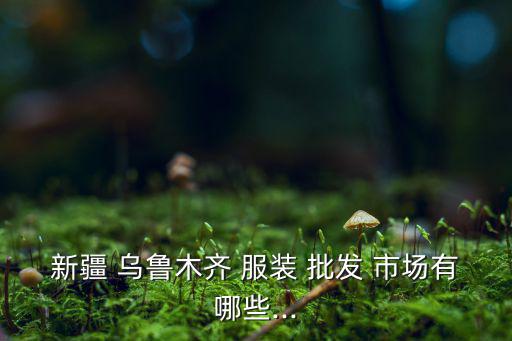 新疆 烏魯木齊 服裝 批發(fā) 市場(chǎng)有哪些...
