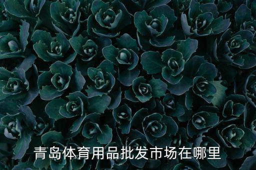 乒乓球器材實體店在哪里,石家莊賣乒乓球器材的實體店