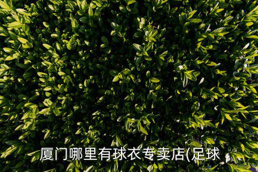 廈門誠(chéng)信體育用品店在哪里,廈門勞保用品店在哪里